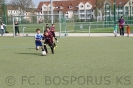 G Junio.2012 Bospor-Vollmarsh