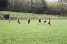 G Junio. 2012 Wellero-Bospor