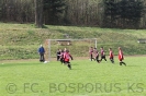 G Junio. 2012 Wellero-Bospor