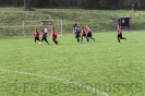 G Junio. 2012 Wellero-Bospor